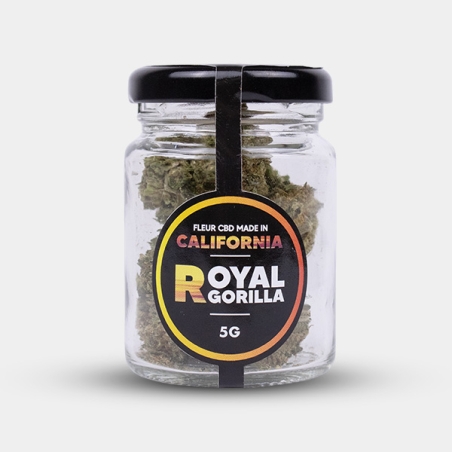 Força e caráter com as flores de CBD Royal Gorilla