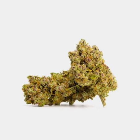 Força e caráter com as flores de CBD Royal Gorilla
