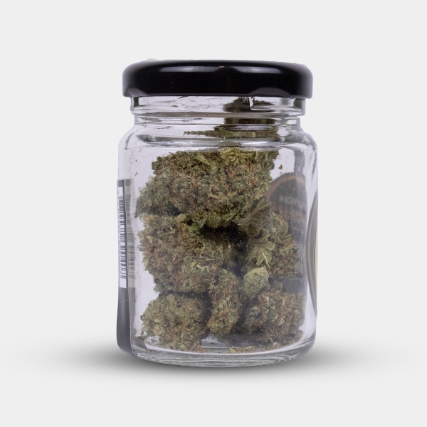 Força e caráter com as flores de CBD Royal Gorilla