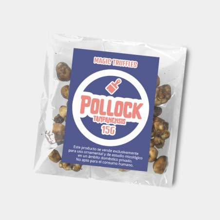 Trufas Tampanensis Pollock: Iniciação Suave ao Psicodélico 🌌