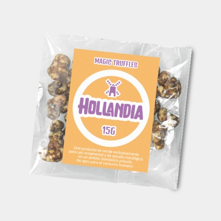 Trufas Hollandia