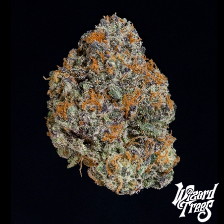 Sementes feminizadas Potion da Wizard Trees: potência e sabor a gás
