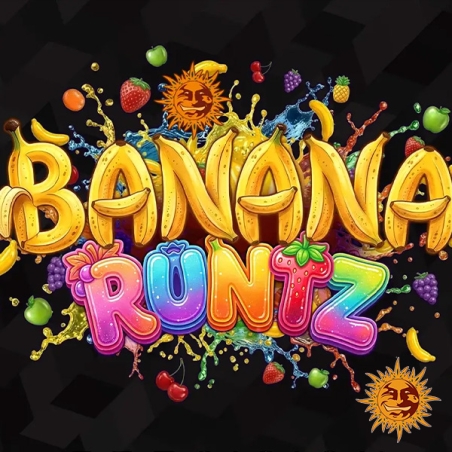 Desenho de Banana Runtz F1 Hybrid