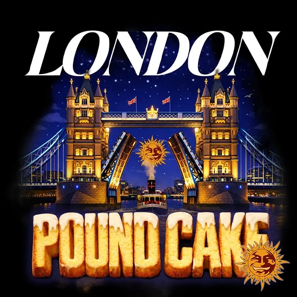 Desenho do London Pound Cake F1 Hybrid