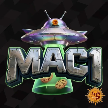 MAC 1 F1 Hybrid