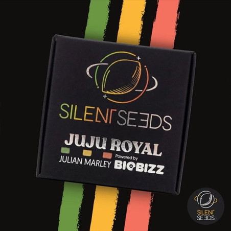 Jamaican Sunset por Julian Marley | GB