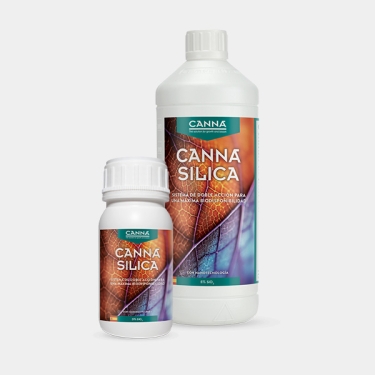 Canna Silica em todos os formatos