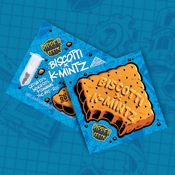 View Biscotti K-Mintz Ripper Seeds x GB | Edição limitada
