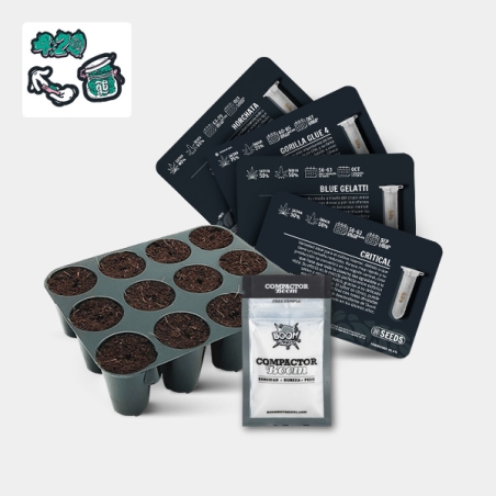 GB Seeds Box - GB The Green Brand