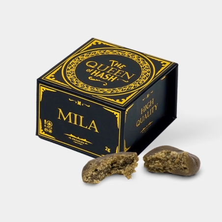 Charas Mila The Queen of Hash x GB -Gb The Green Brand