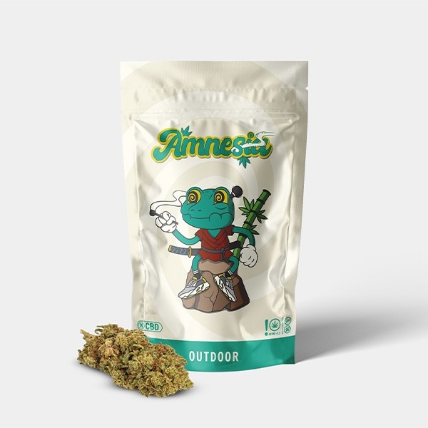 Stoner Kit - GB The Green Brand