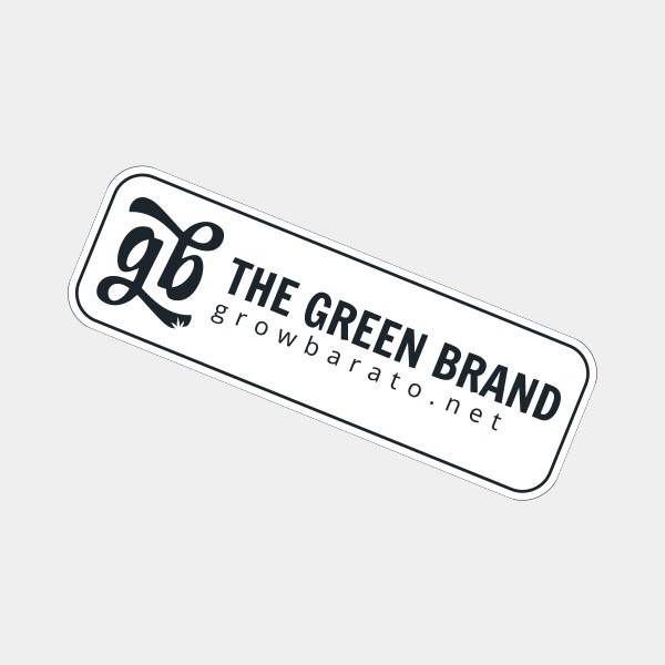 RAW Kit com itens exclusivos - GB A marca verde