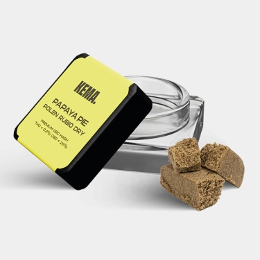 Kit KEMA Trip | Kit para fumadores colorido e jovem 🚬