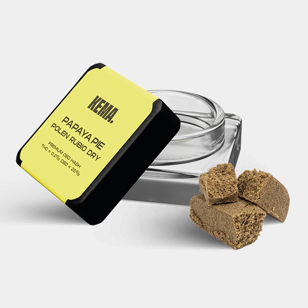 Kit KEMA Trip | Kit para fumadores colorido e jovem 🚬