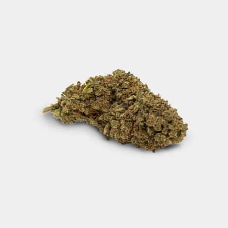 The Green Bucket CBD 25 g | Flores Green House GB