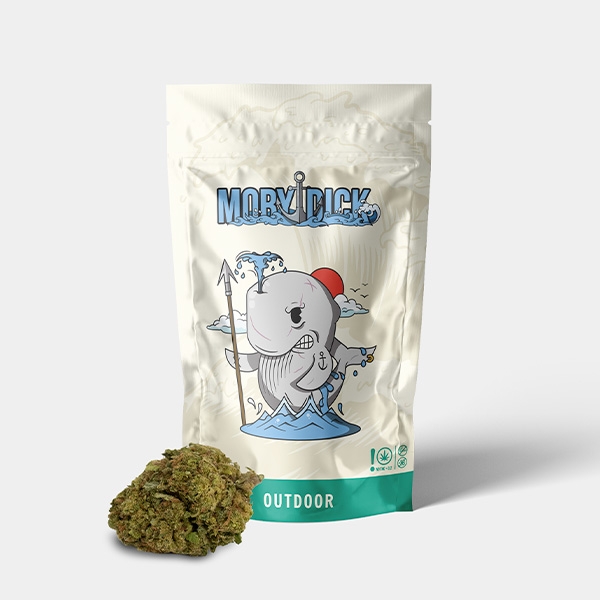 View Flores CBD GB Outdoor Moby Dick - GB The Green Brand