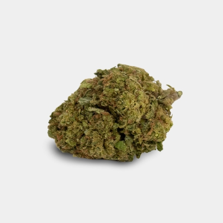 Flores CBD GB Outdoor Moby Dick - GB The Green Brand