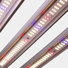 Sistema LED Regulável 300 W Preto Ultra GB Lighting barra acesa