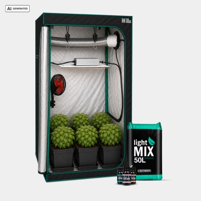 Kit Completo para Iniciantes 80x80 - GB The Green Brand