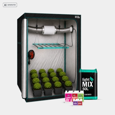 Kit Completo Maestro 120x120 - GB The Green Brand