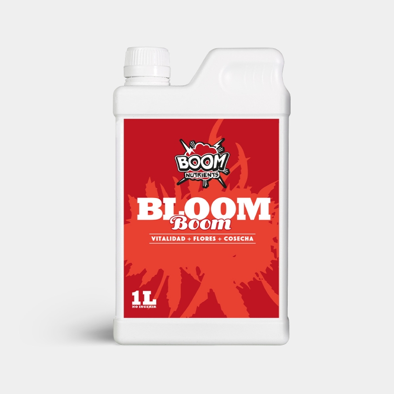 Bloom Boom