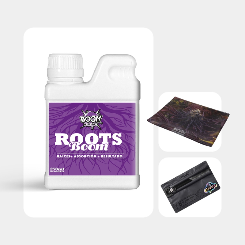Kit Oreoz | O pack mais completo para fãs de Oreoz