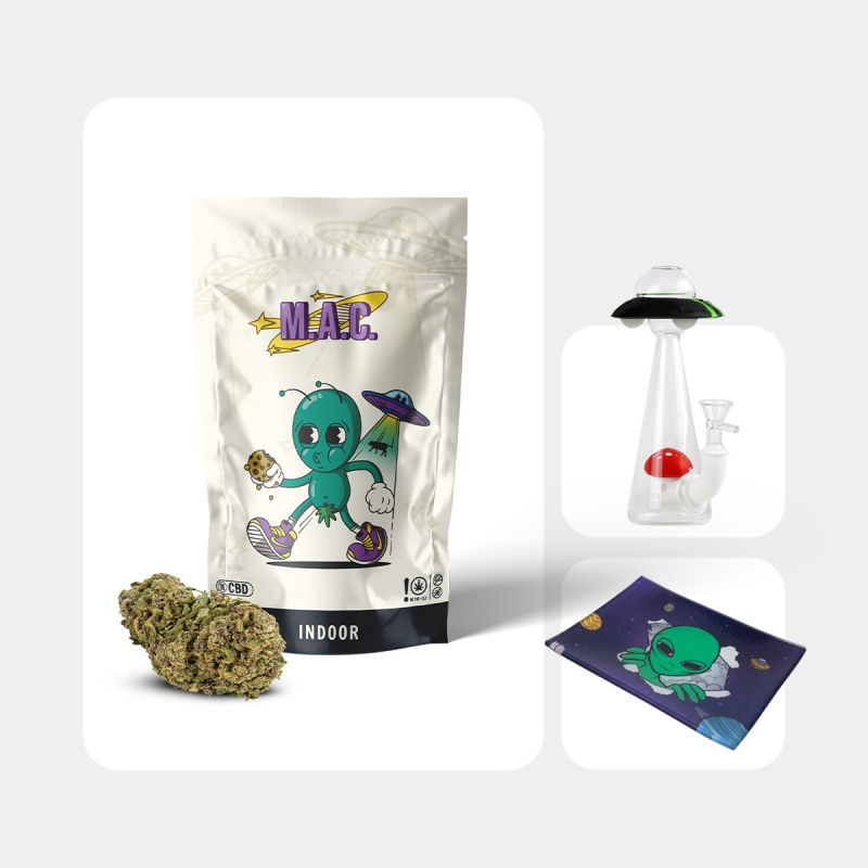 Kit Alien | Bong, Flores CBD e Bandeja GB