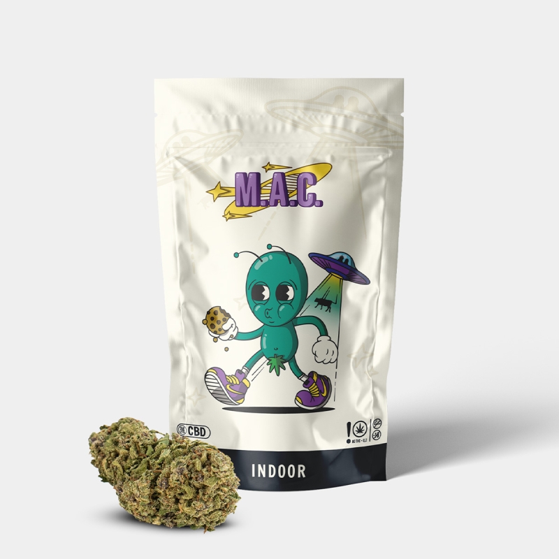 Kit Alien | Bong, Flores CBD e Bandeja GB