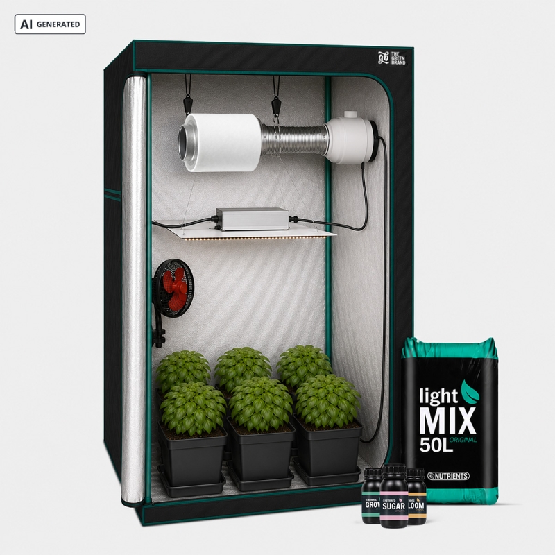 Kit Completo para Iniciantes 80x80 - GB The Green Brand