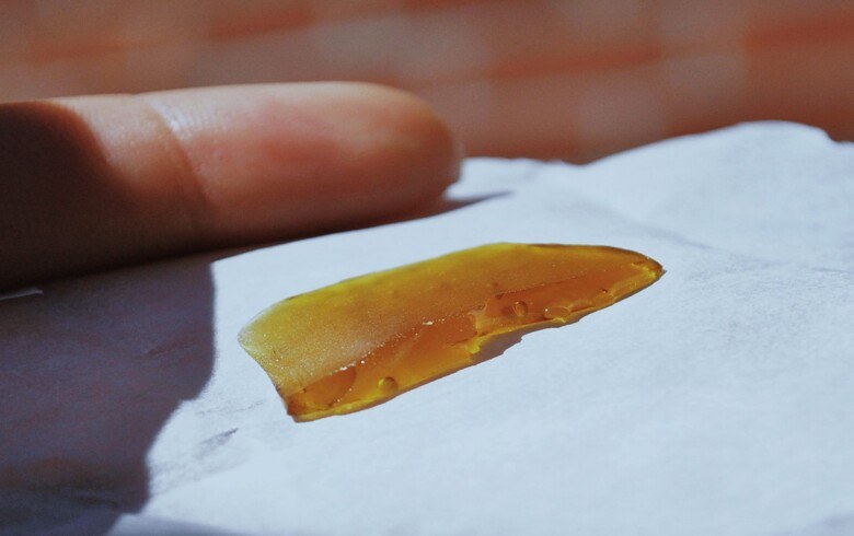 Conselhos