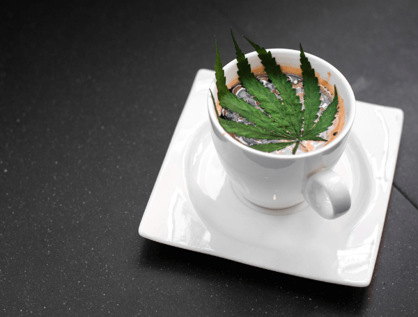 Cannabis medicinal: benefícios e possíveis efeitos na saúde Cannabis medicinal: benefícios e possíveis efeitos na saúde