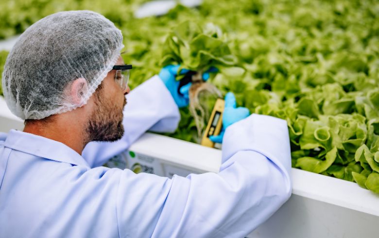 Guias de cultivo