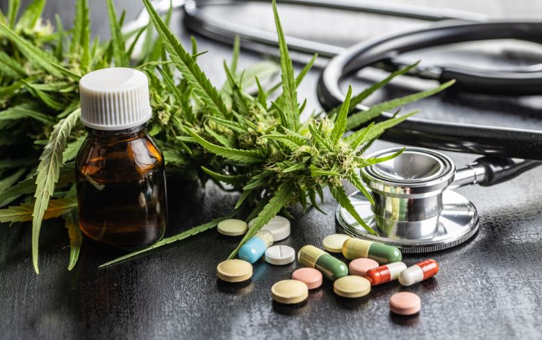 Notícias sobre cannabis