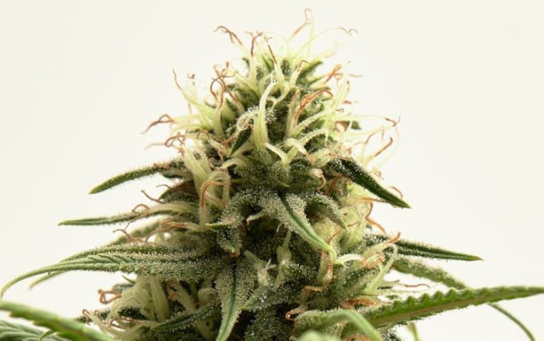 AK47