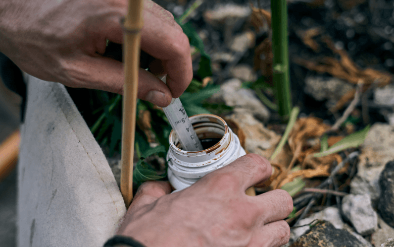 Guias de cultivo