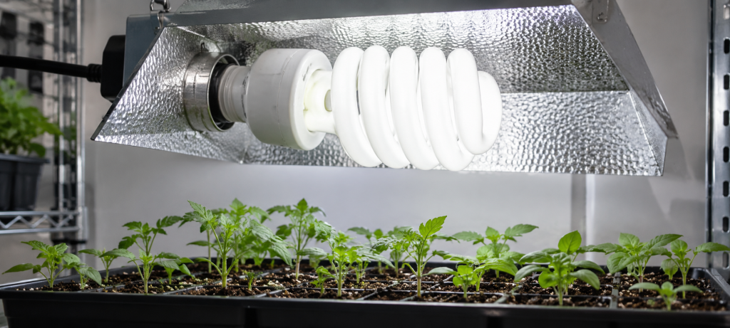 tipos de bombillas para cultivo interior: bombilla de bajo consumo