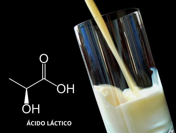 Bactérias de ácido láctico no cultivo de canábis