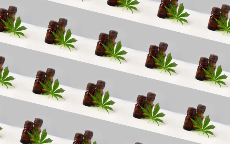 Notícias sobre cannabis Notícias sobre cannabis