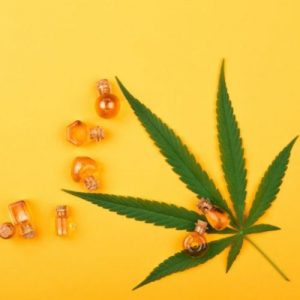 Schema aceite de cannabis