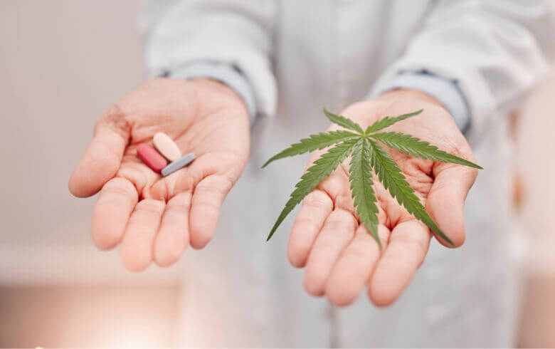 Cannabis medicinal Cannabis medicinal