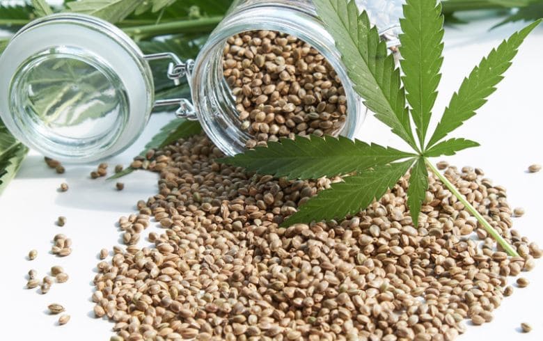 Notícias sobre cannabis Notícias sobre cannabis