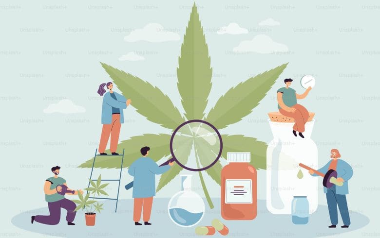 Notícias sobre cannabis Notícias sobre cannabis