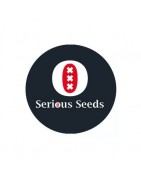 Sementes autoflorescentes Serious Seeds