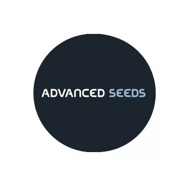 Sementes Feminizadas Advanced Seeds 