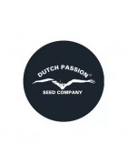 Sementes autoflorescentes da Dutch Passion
