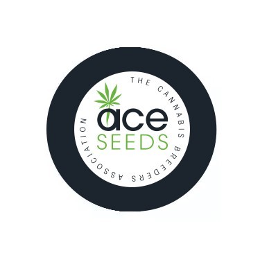 Sementes Feminizadas ACE Seeds