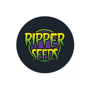 Sementes Feminizadas Ripper Seeds