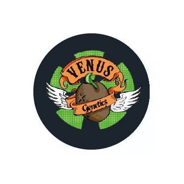 Sementes feminizadas Venus Genetics