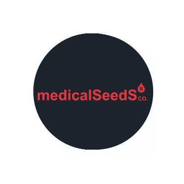 Medical Seeds Sementes Regulares