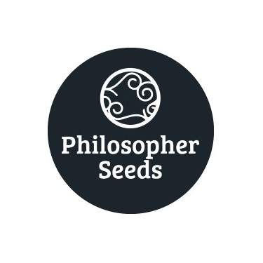Sementes feminizadas Philosopher Seeds